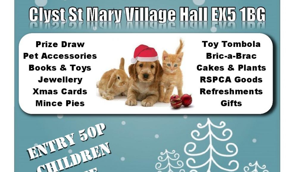 RSPCA Little Valley Animal Shelter Xmas Fayre The Exeter Daily